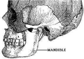 LatSkull: 