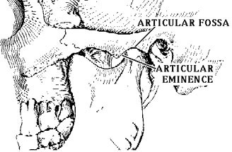 tmj innervation